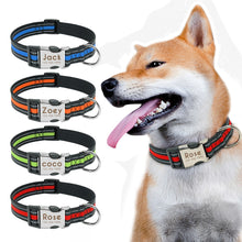 Load image into Gallery viewer, Nylon Dog Collar Personalized Pet Collar Engraved ID Tag Nameplate