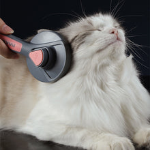 Load image into Gallery viewer, Kimpets Pet Comb Hair Remover Brush